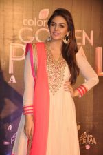 Huma Qureshi at Colors Golden Petal Awards 2013 in BKC, Mumbai on 14th Dec 2013